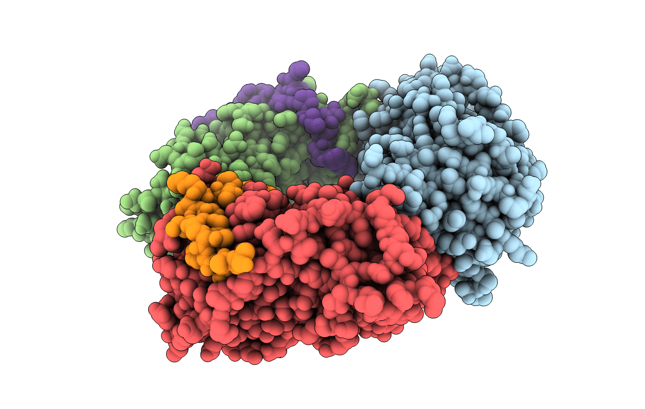 4D2G image