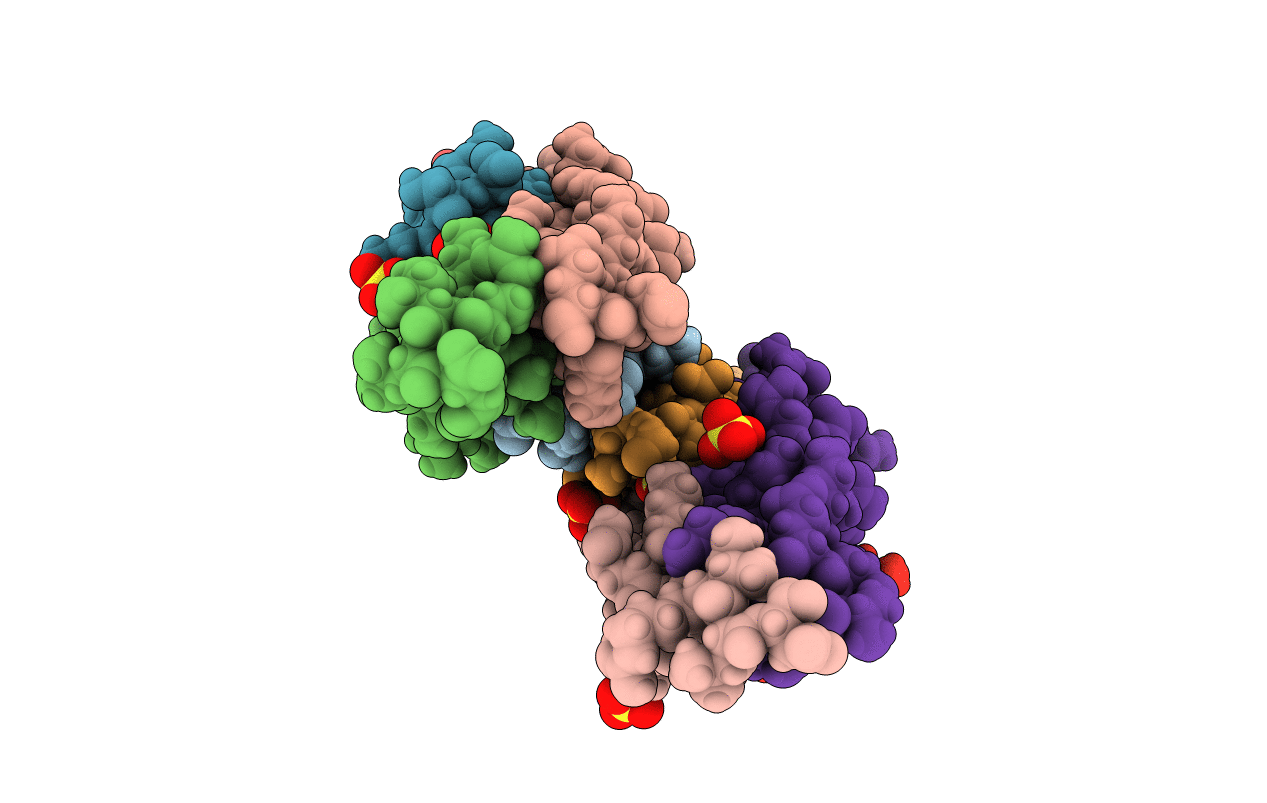 4D2H image