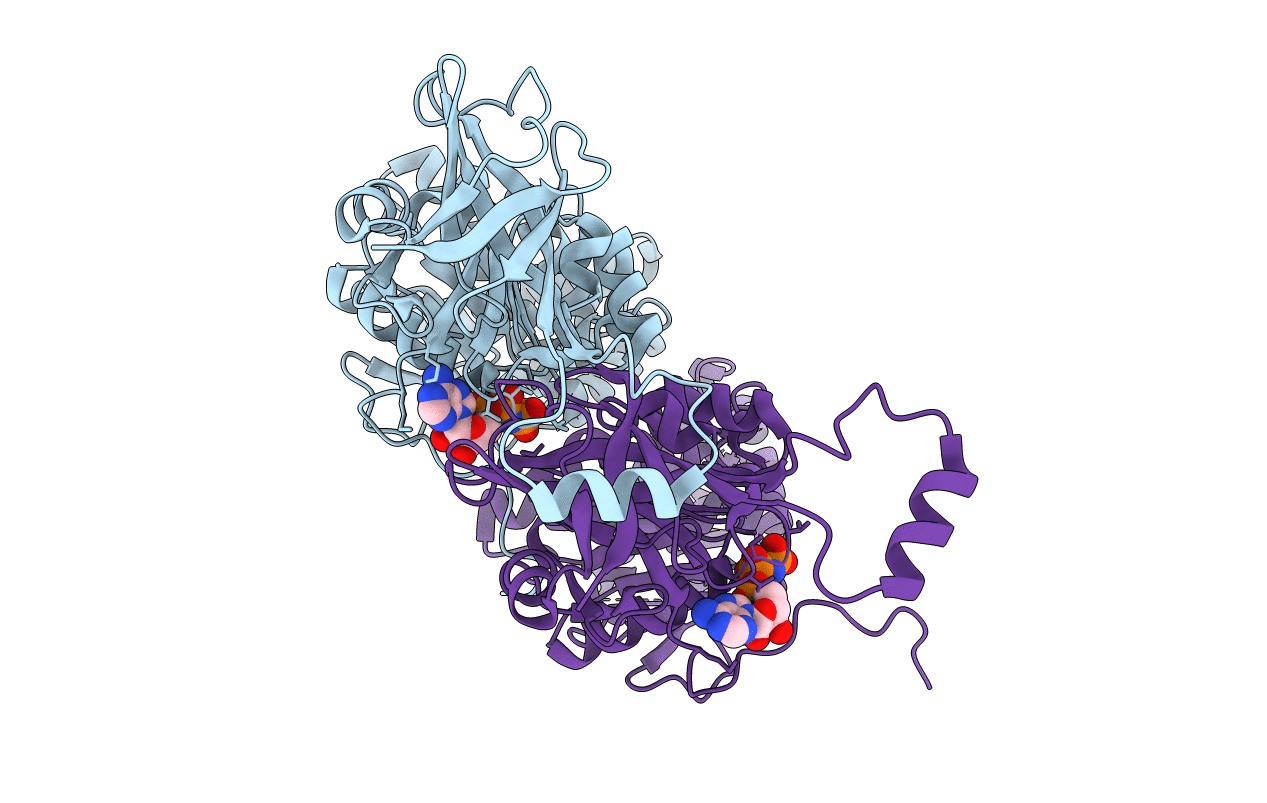 4D2I image