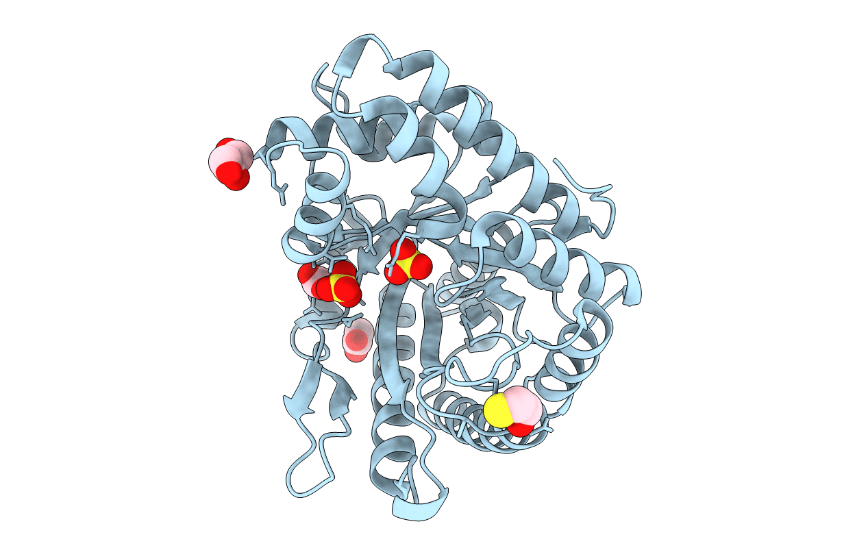 4D2J image