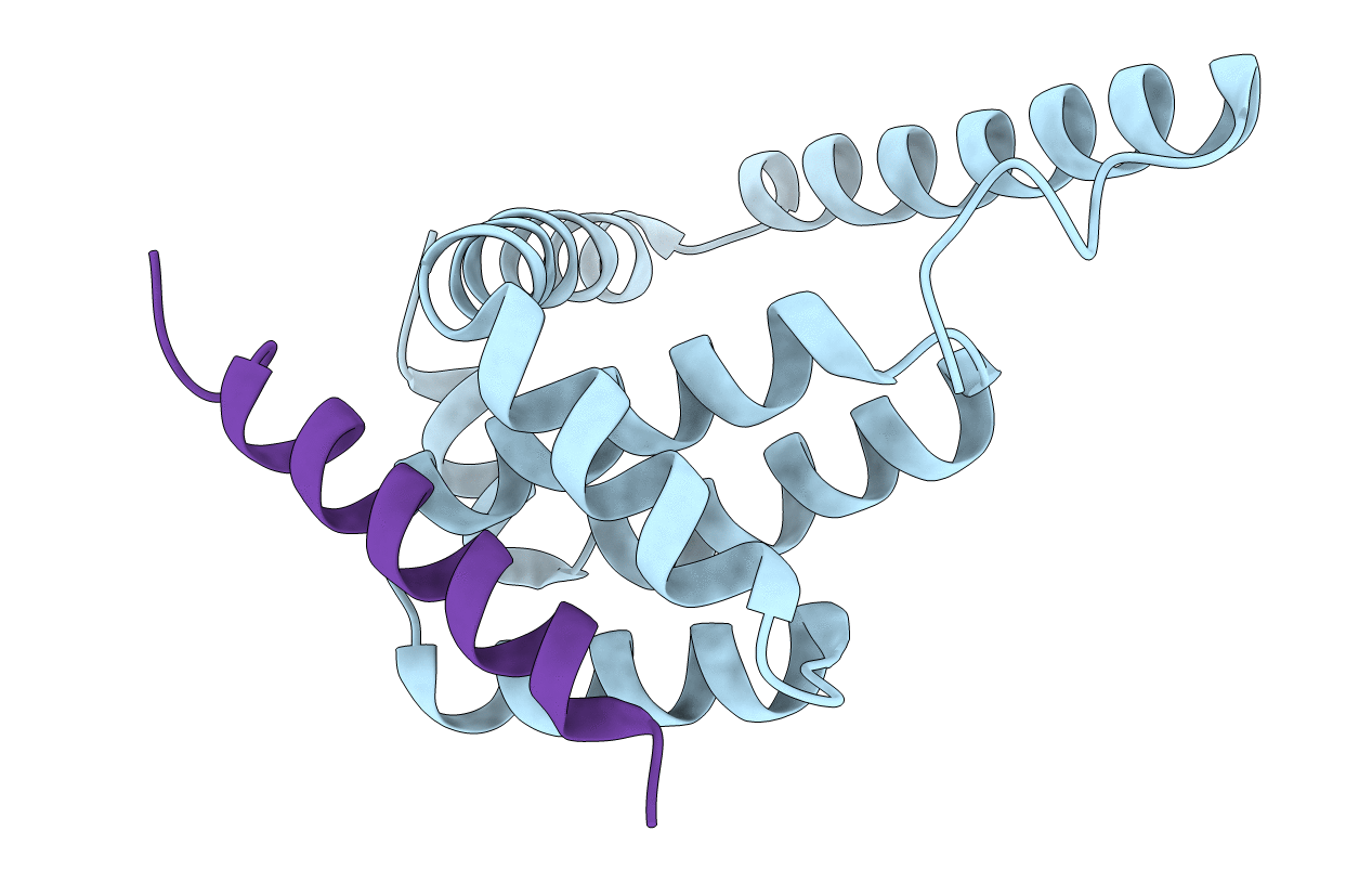 4D2L image