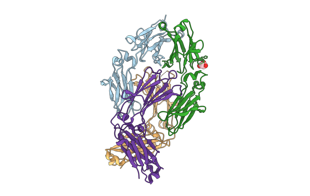4D2N image