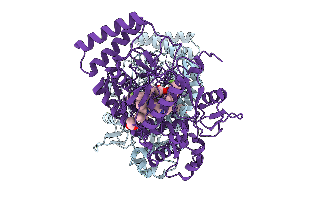4D32 image