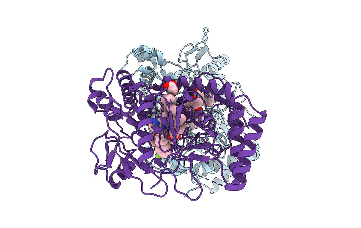 4D37 image