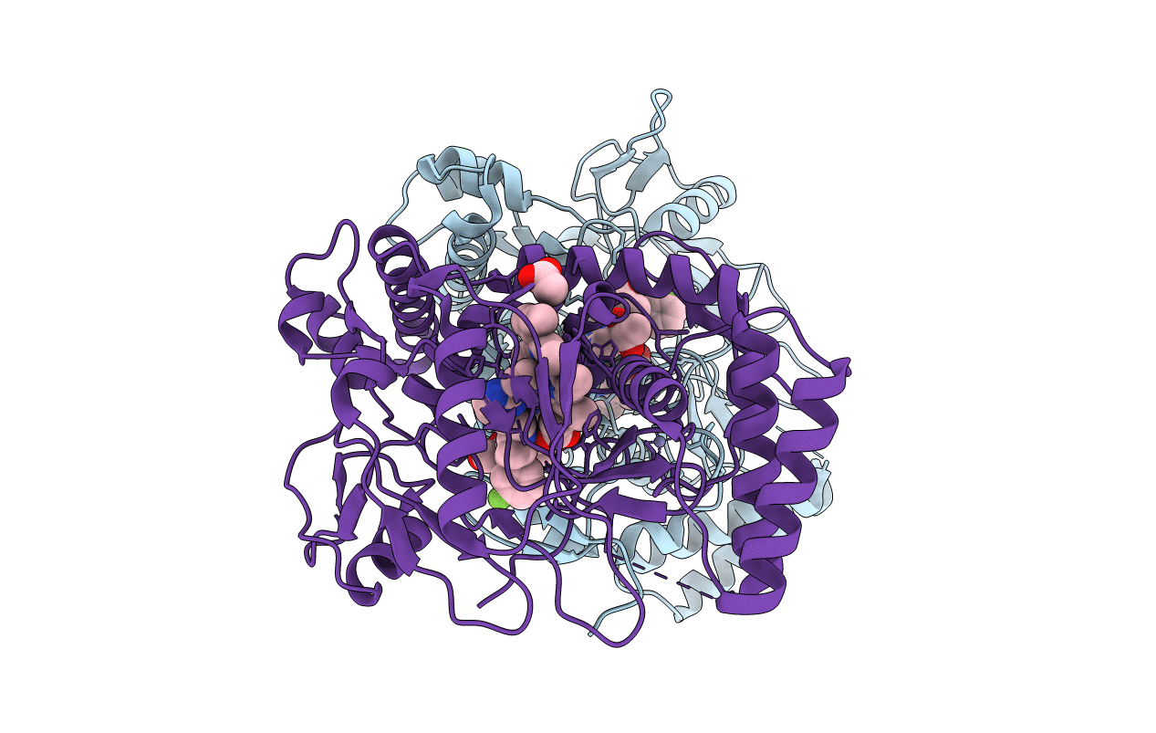 4D38 image
