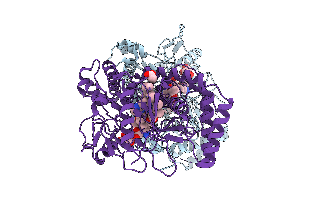 4D39 image