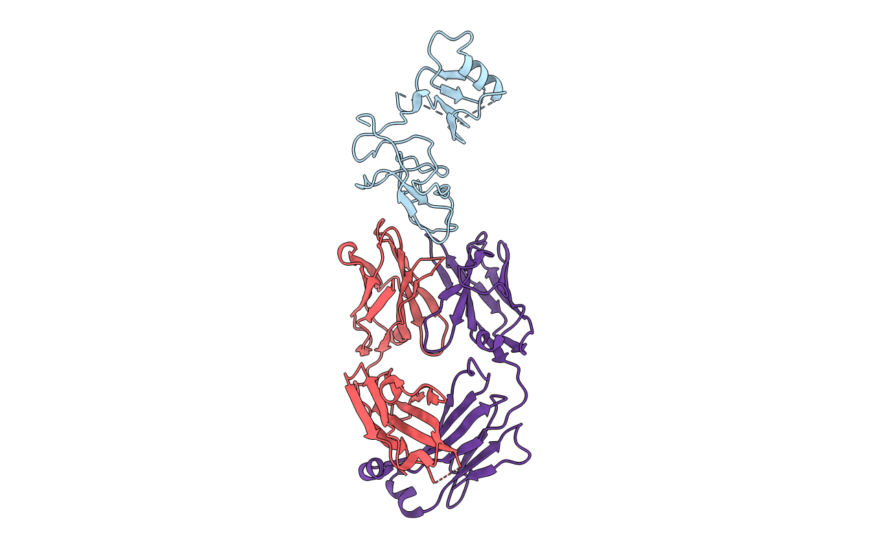 4D3C image