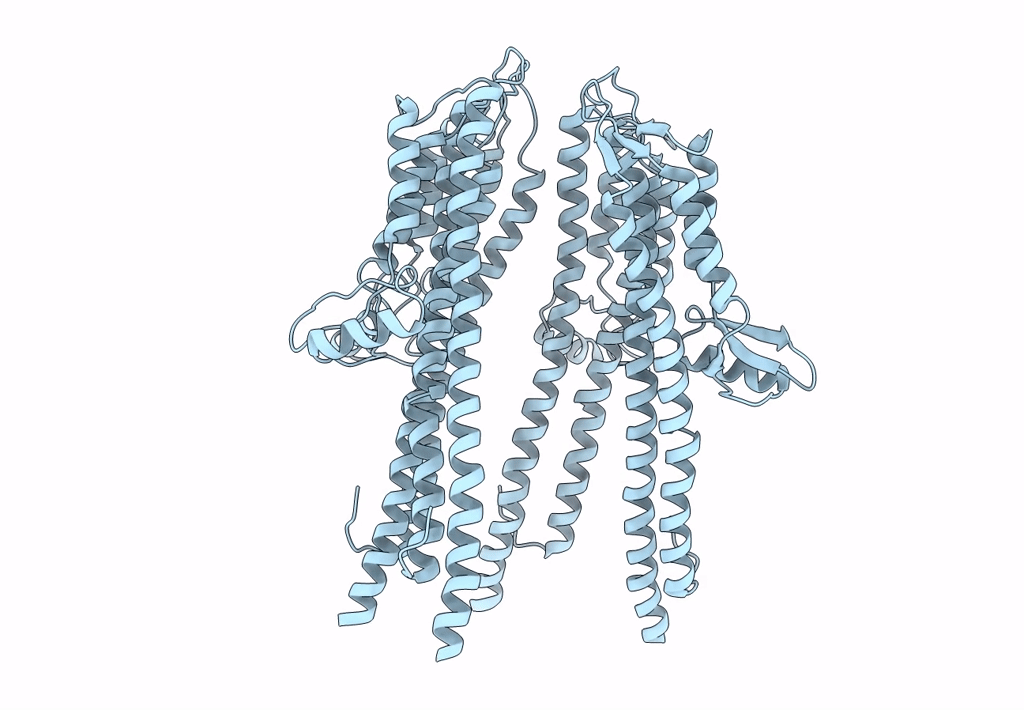 4D3E image