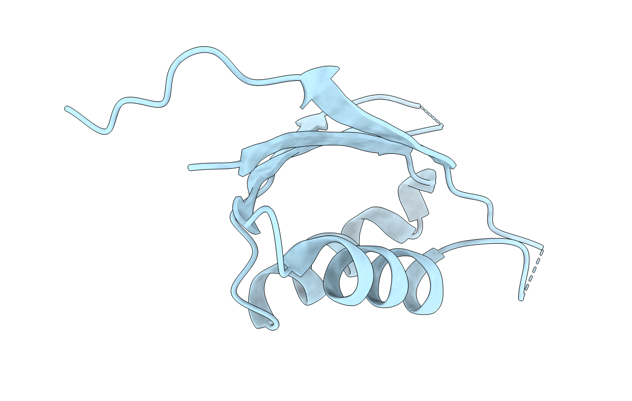 4D3G image