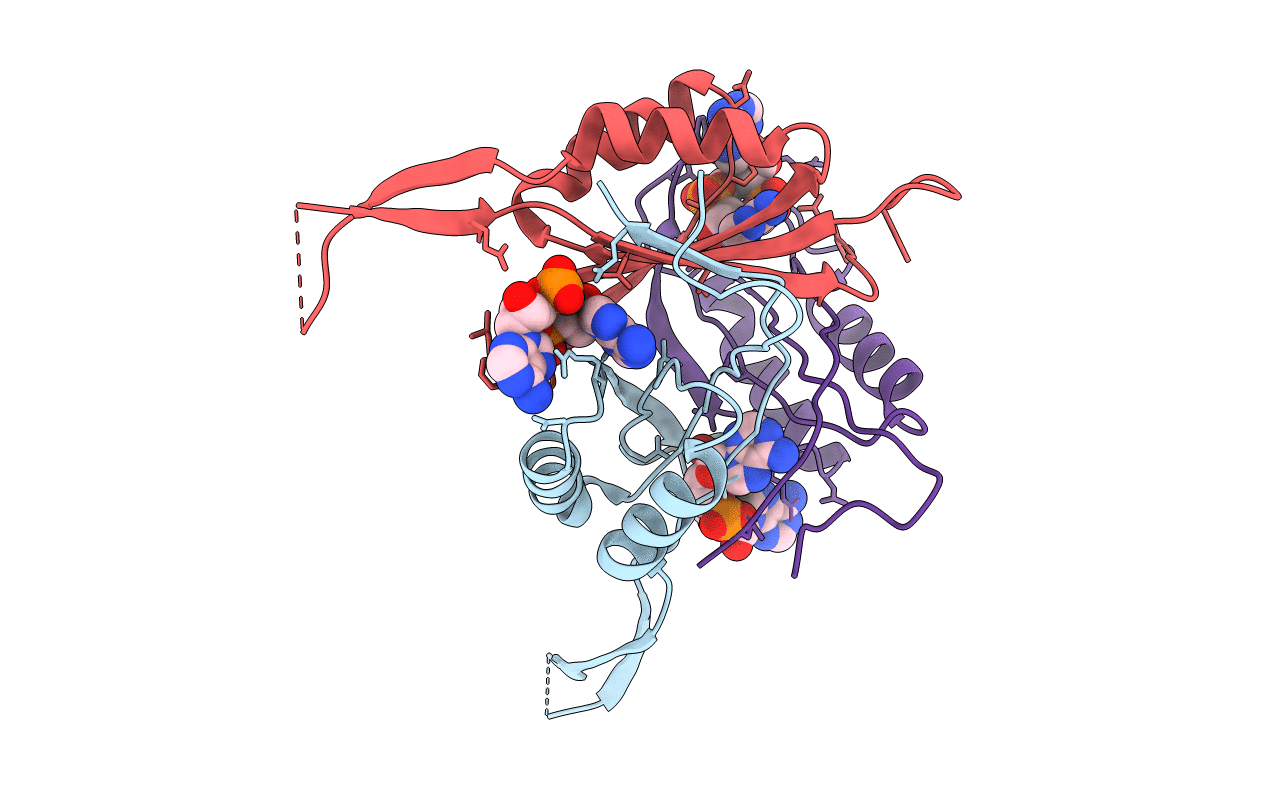4D3H image