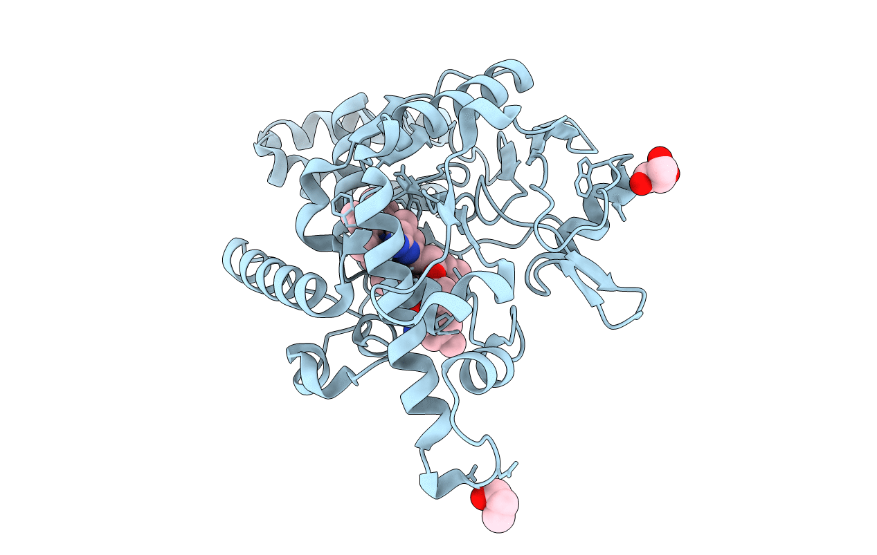 4D3I image