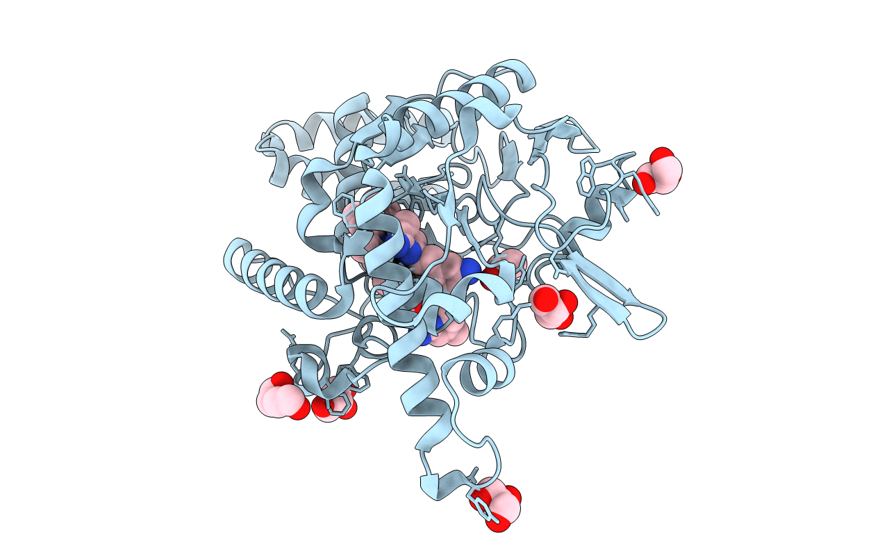 4D3J image