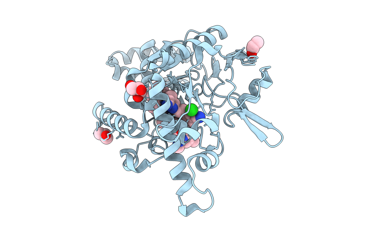 4D3M image