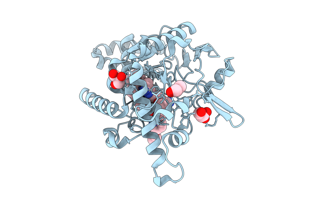 4D3N image