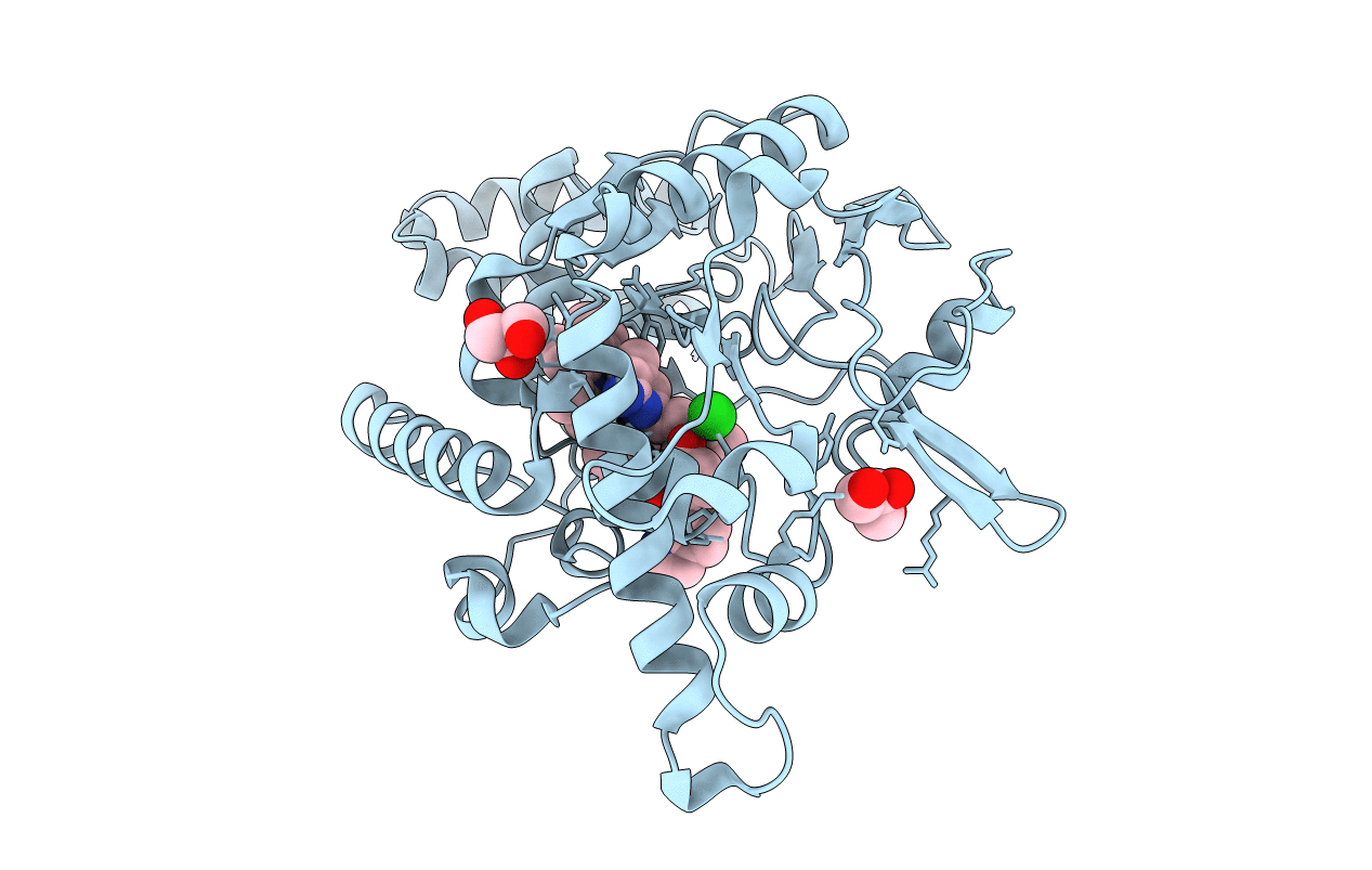 4D3O image