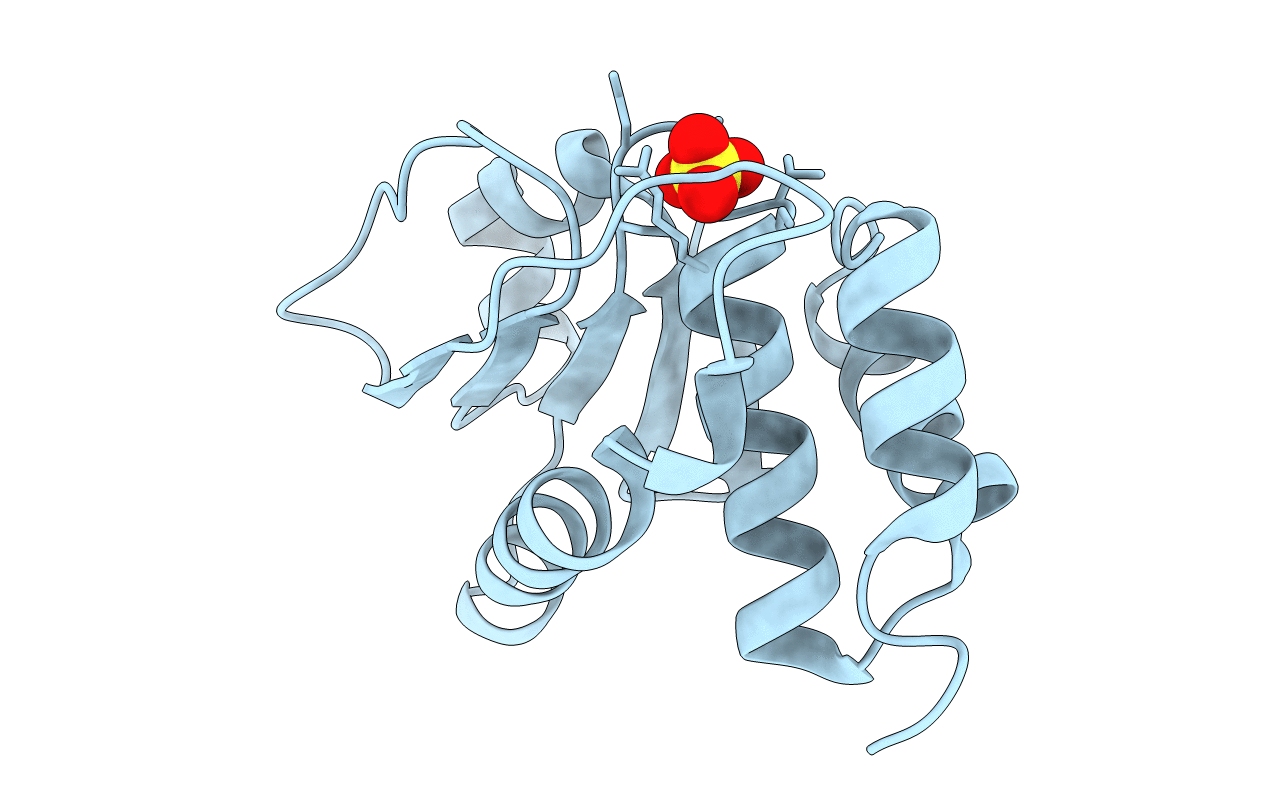 4D3R image