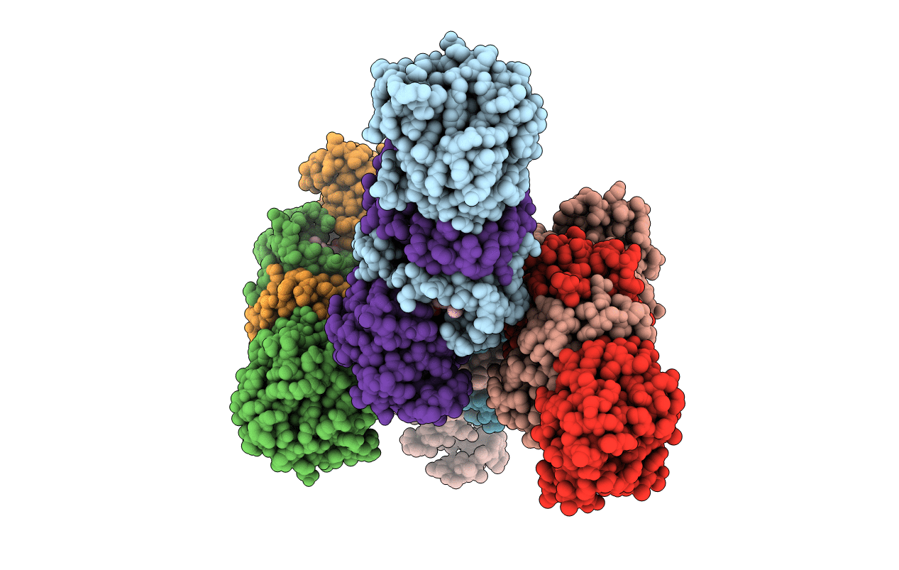 4D3S image
