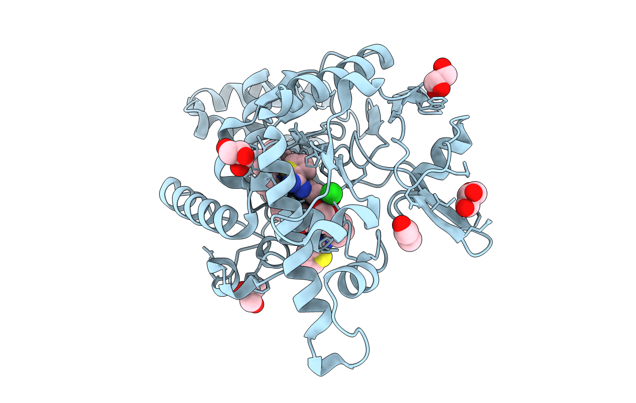 4D3T image