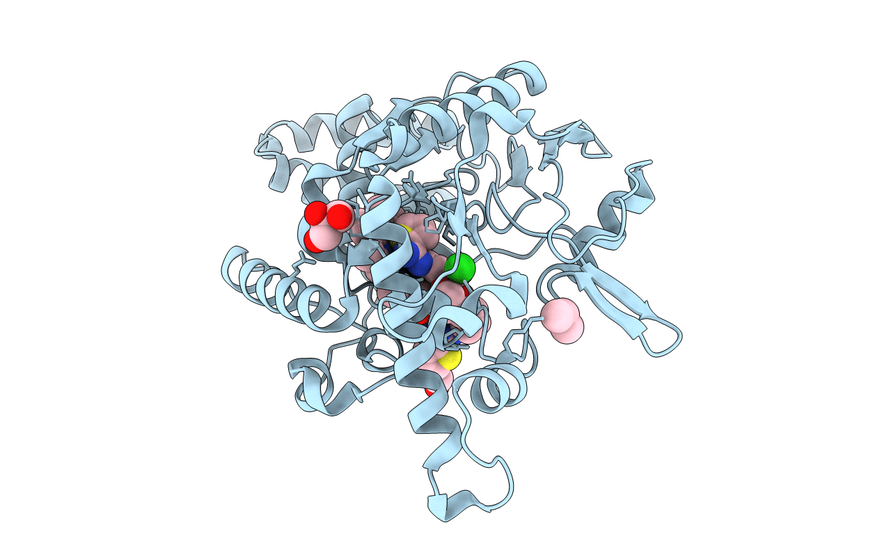 4D3U image