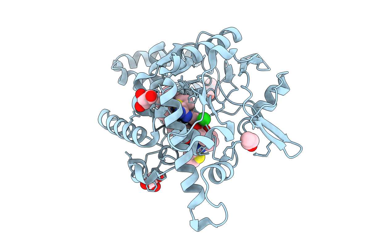 4D3V image