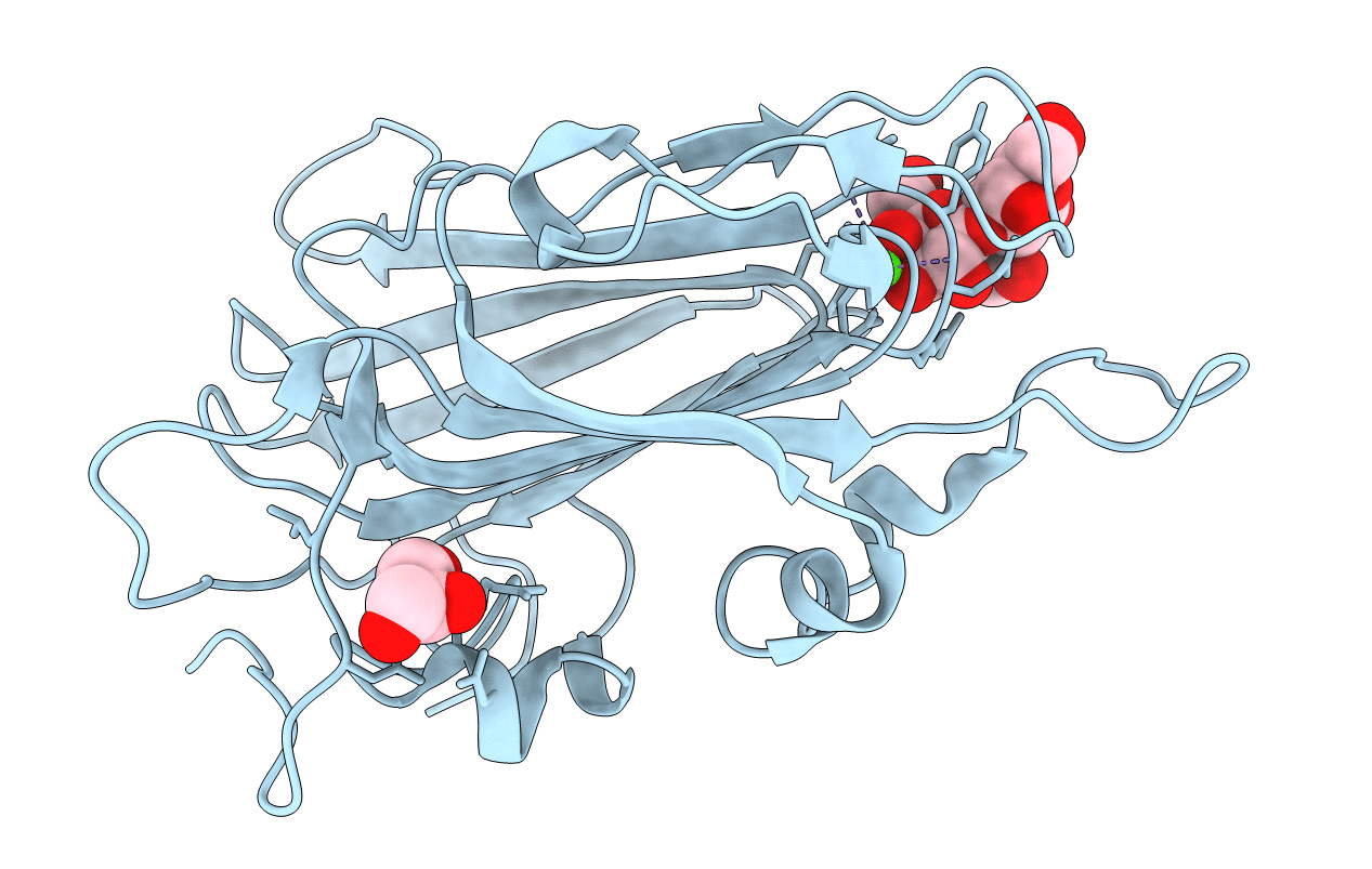 4D3W image