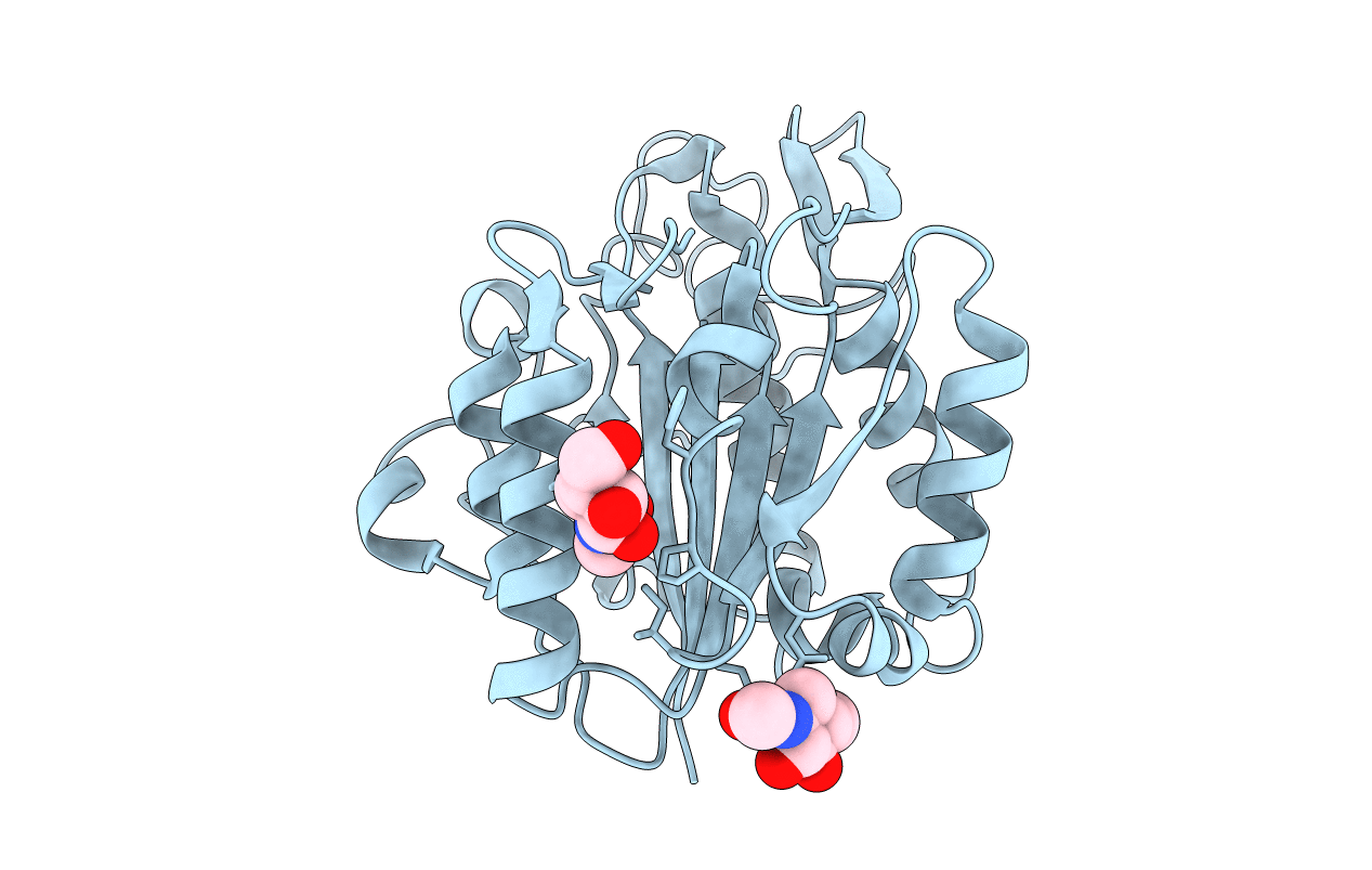 4D3X image
