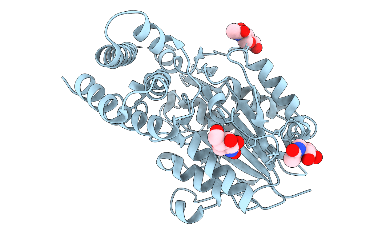 4D3Z image