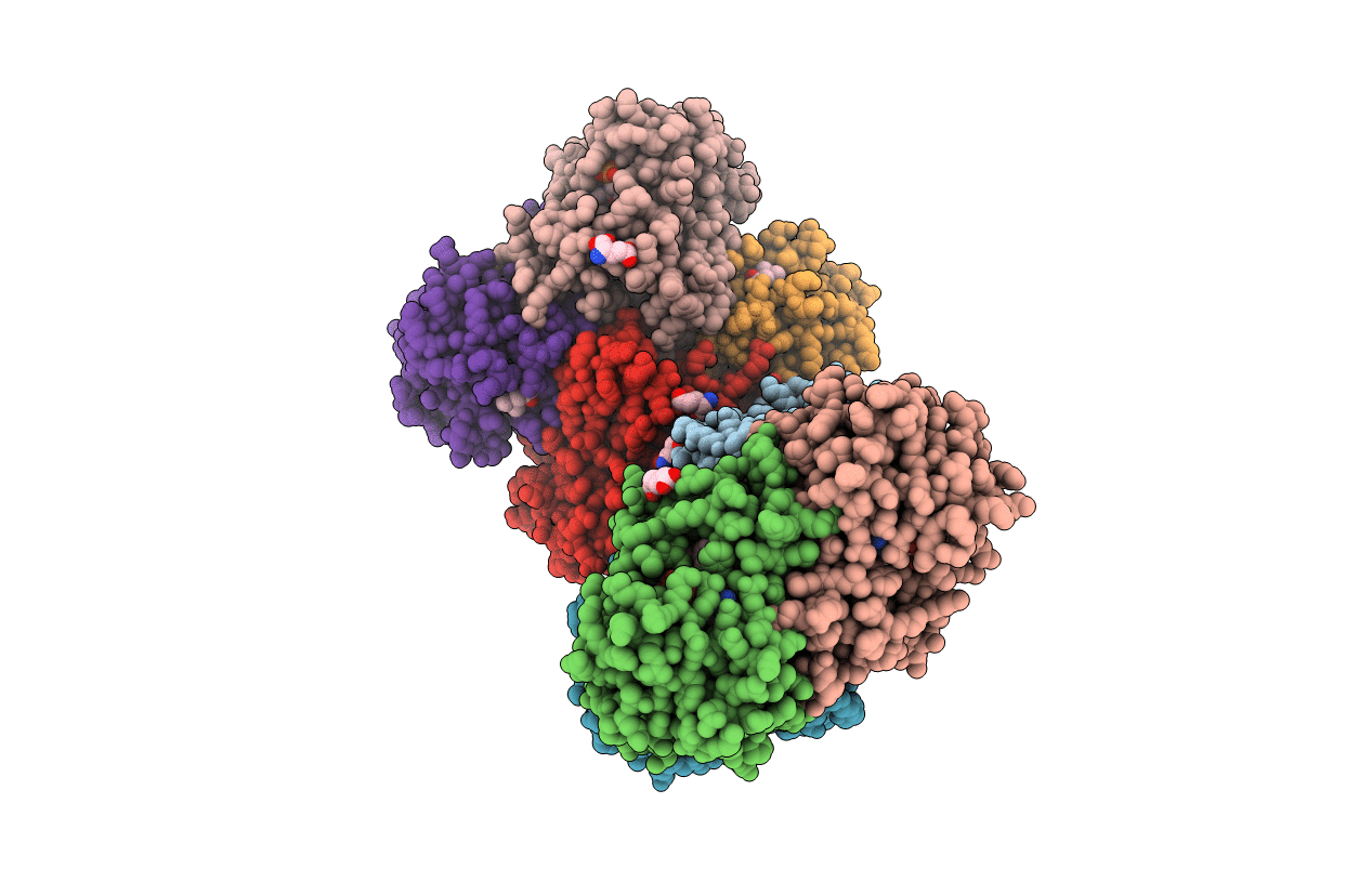 4D44 image
