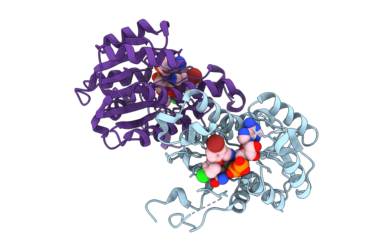 4D46 image
