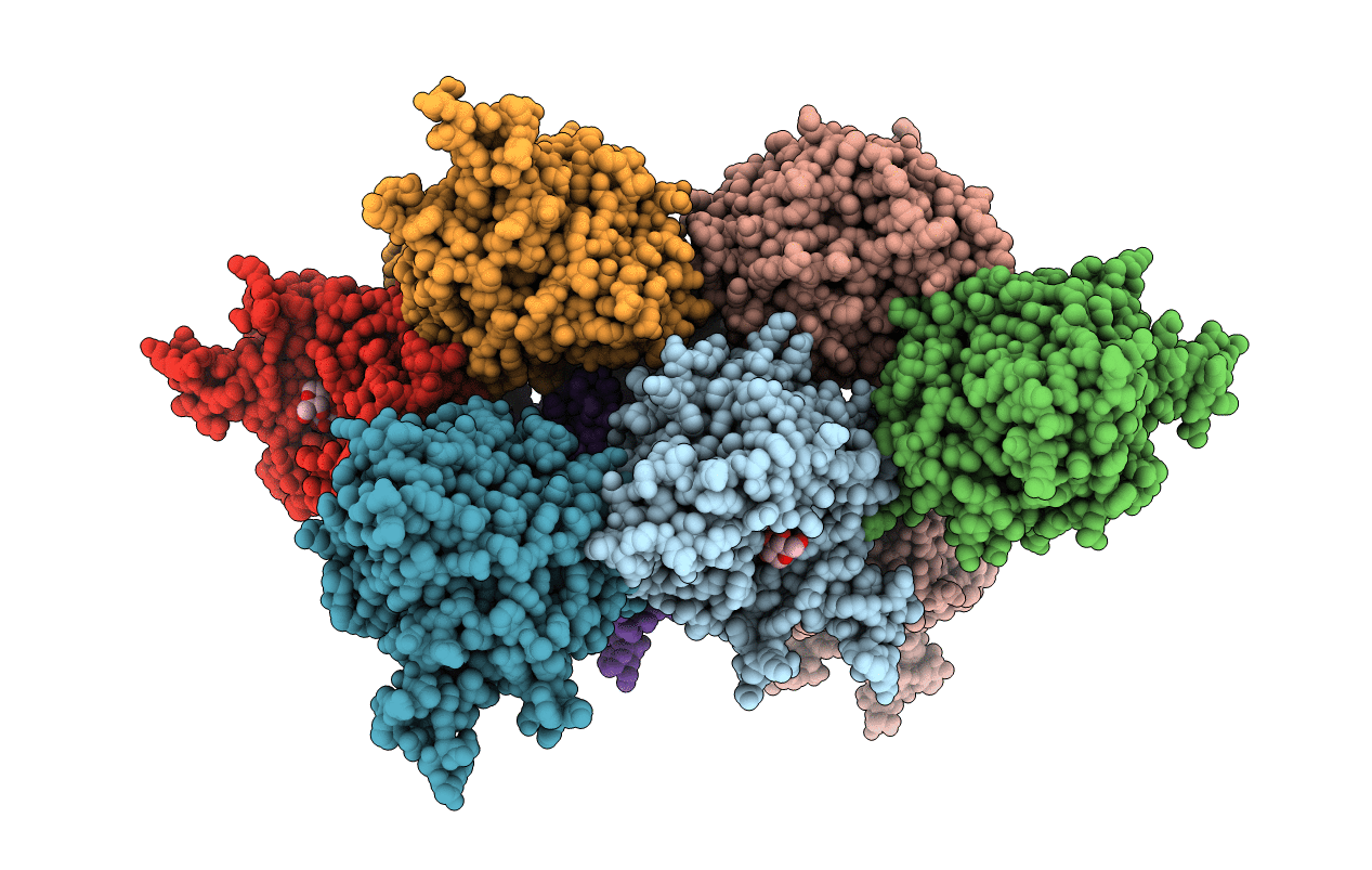 4D47 image