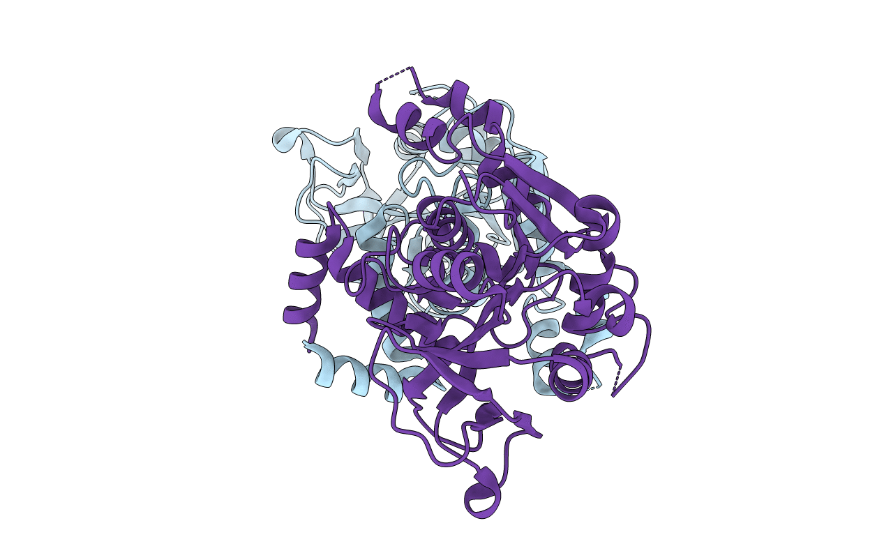 4D48 image