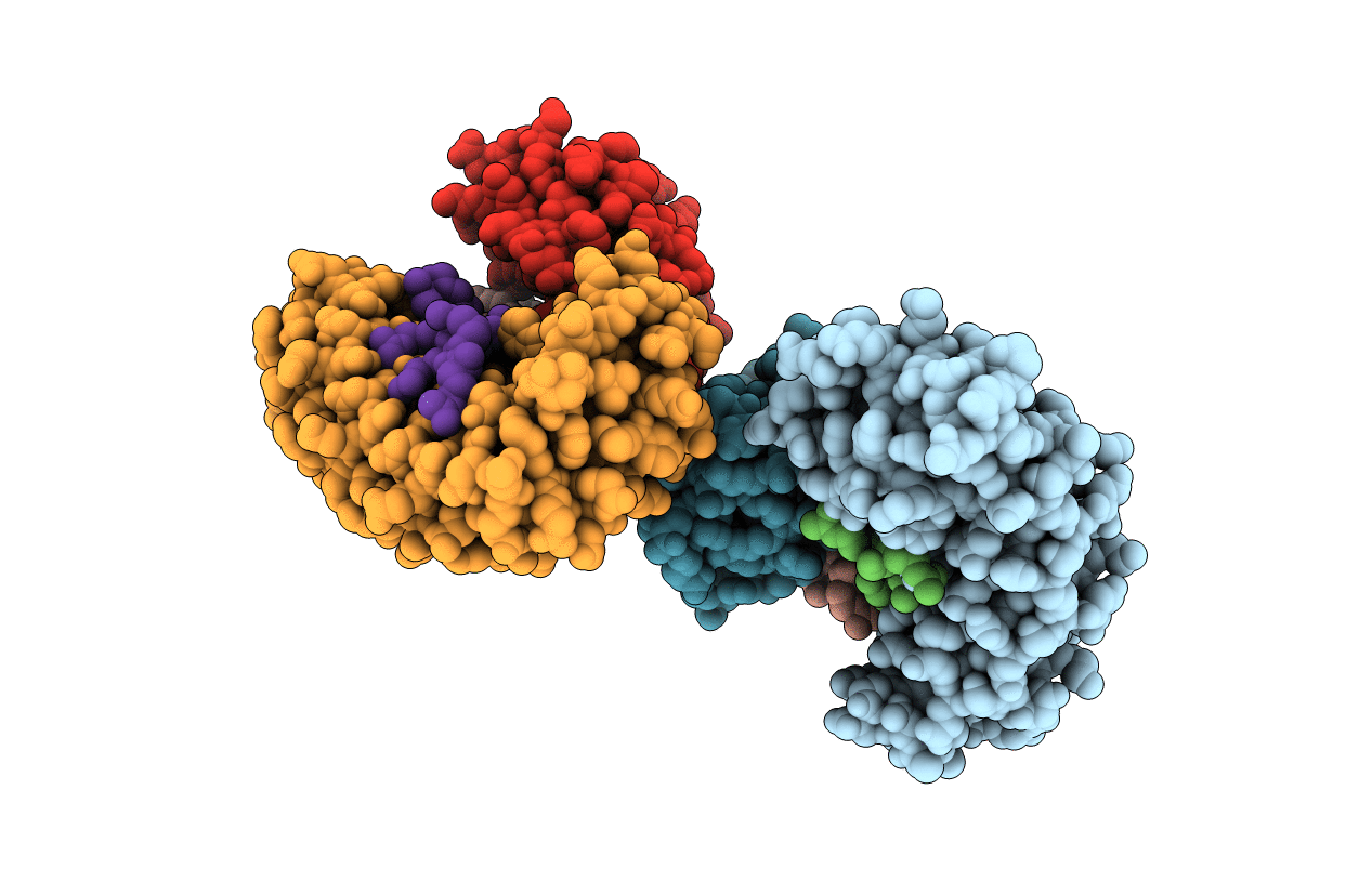 4D49 image