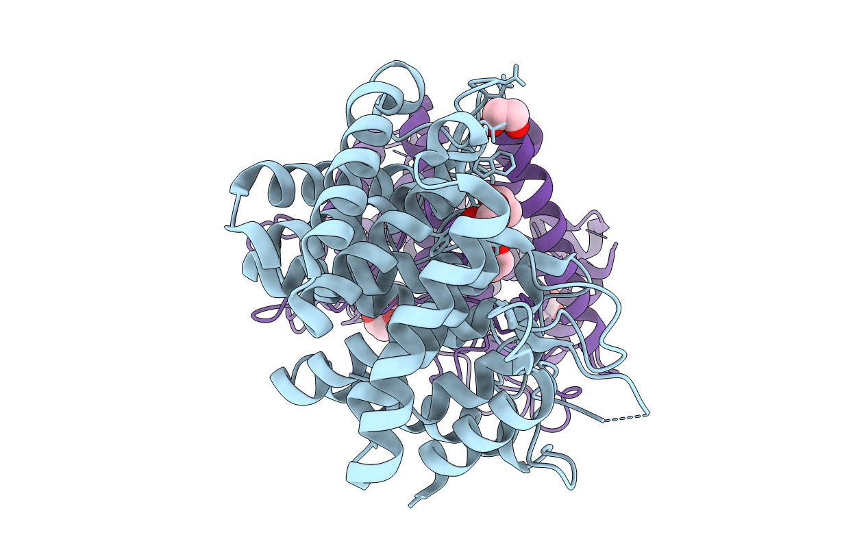 4D4A image