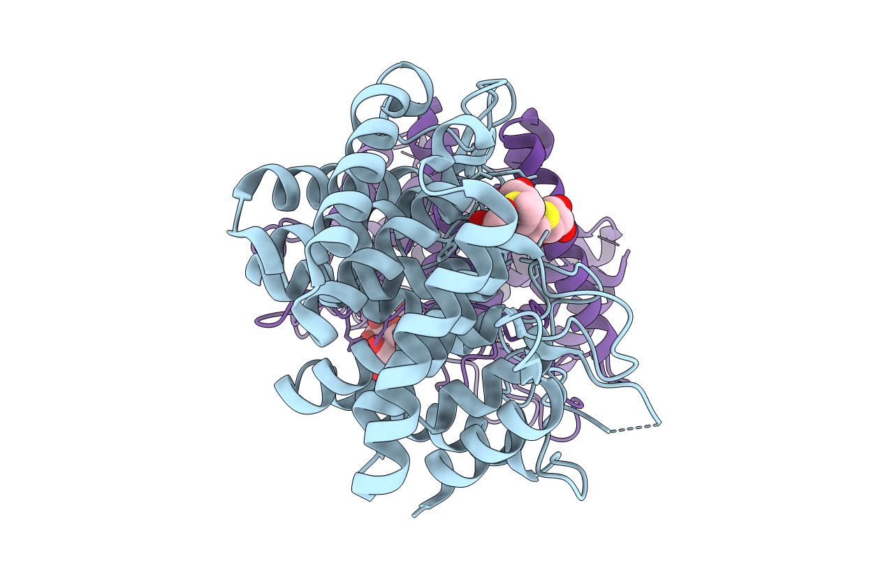 4D4B image