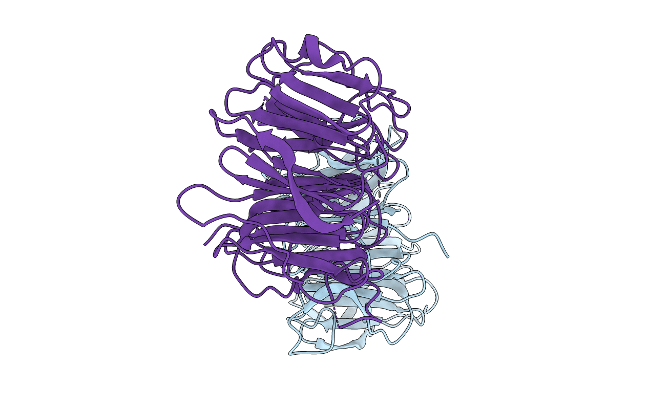 4D4Q image