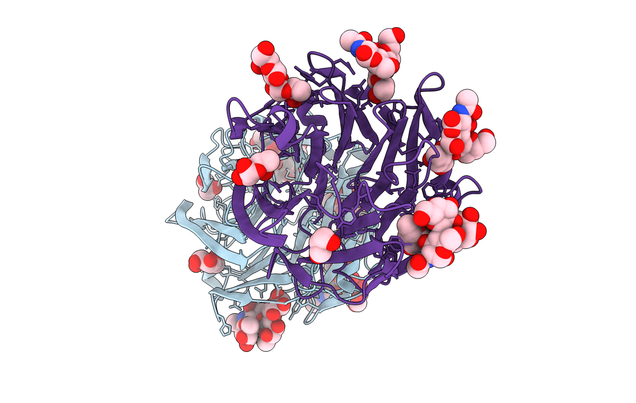 4D4U image