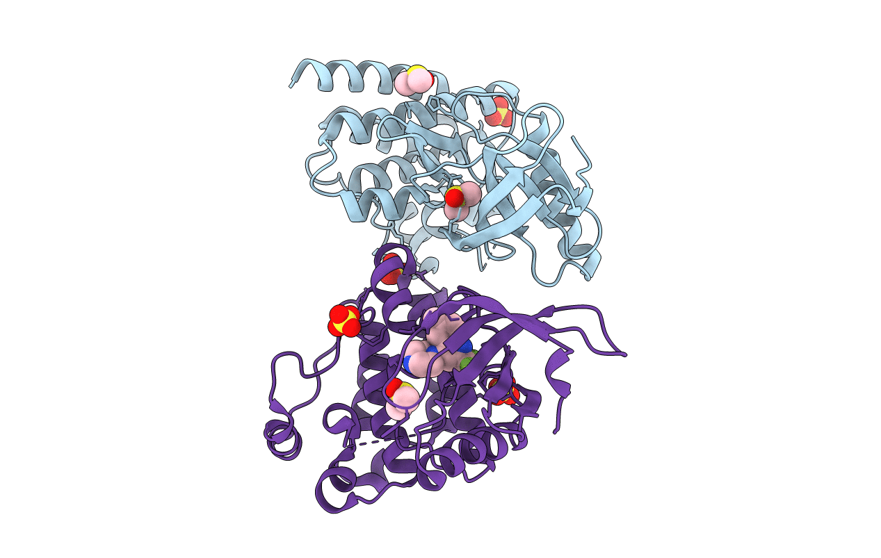 4D4V image