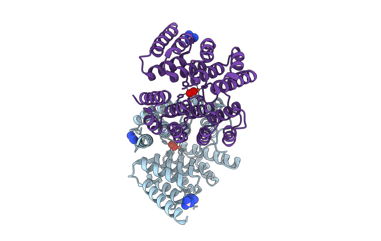 4D50 image