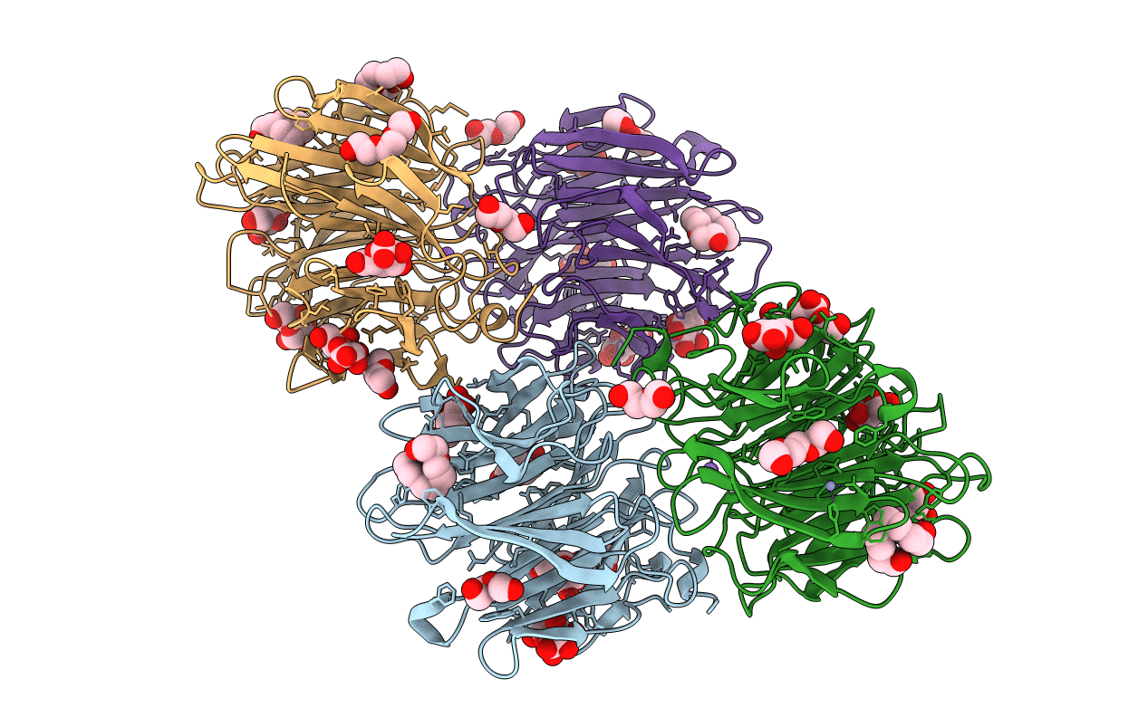 4D52 image