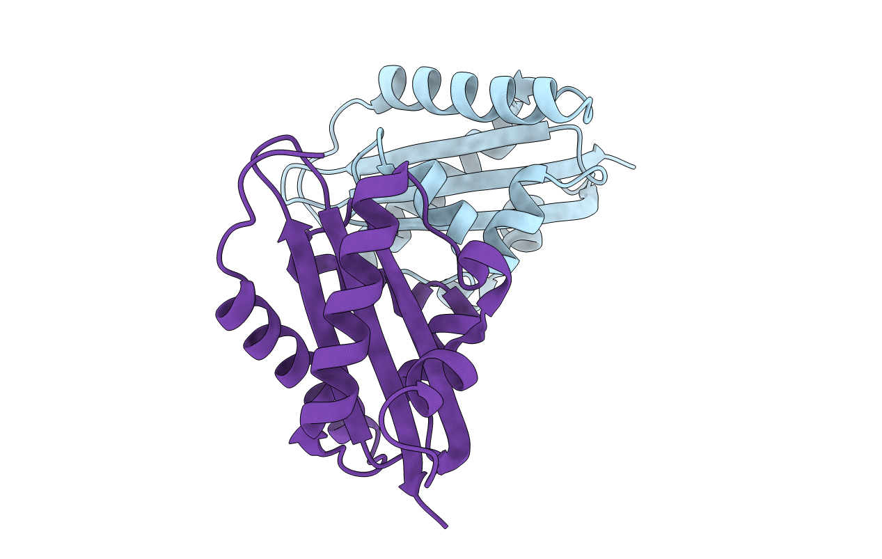 4D53 image