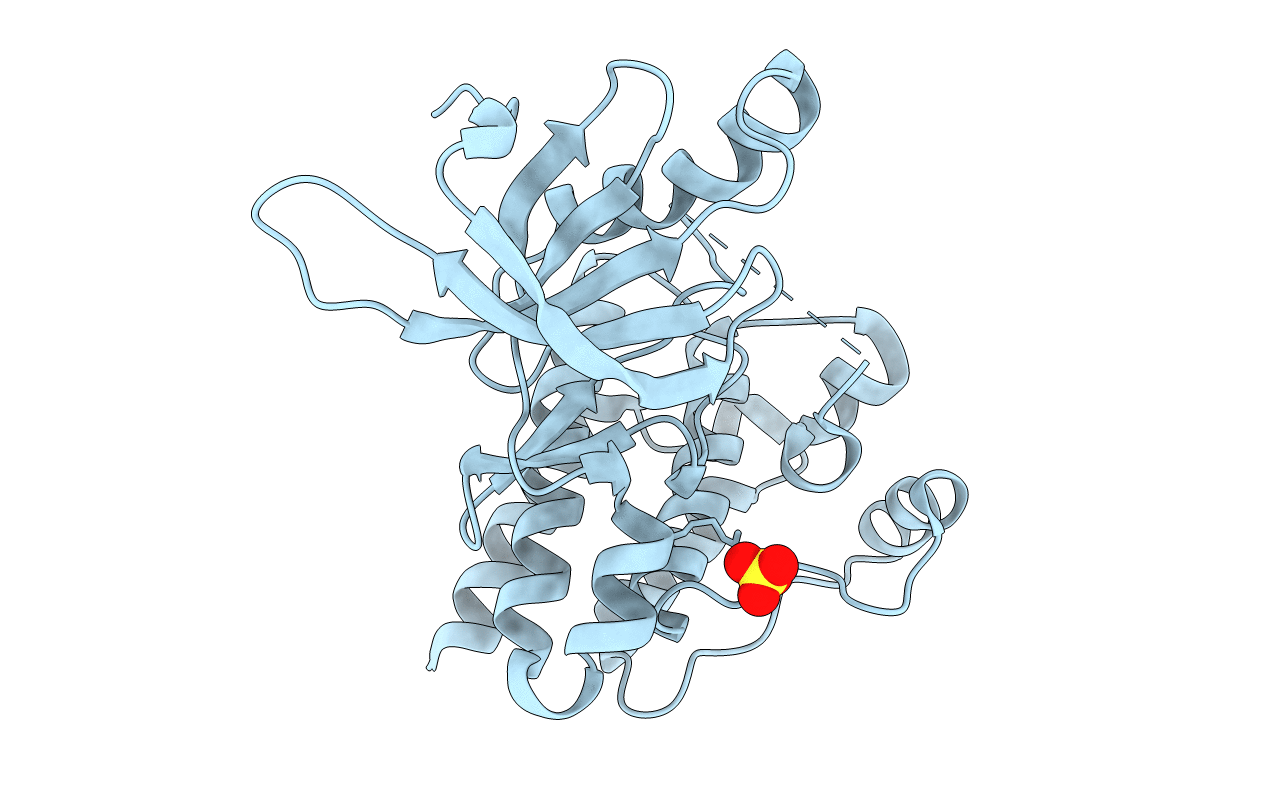 4D55 image
