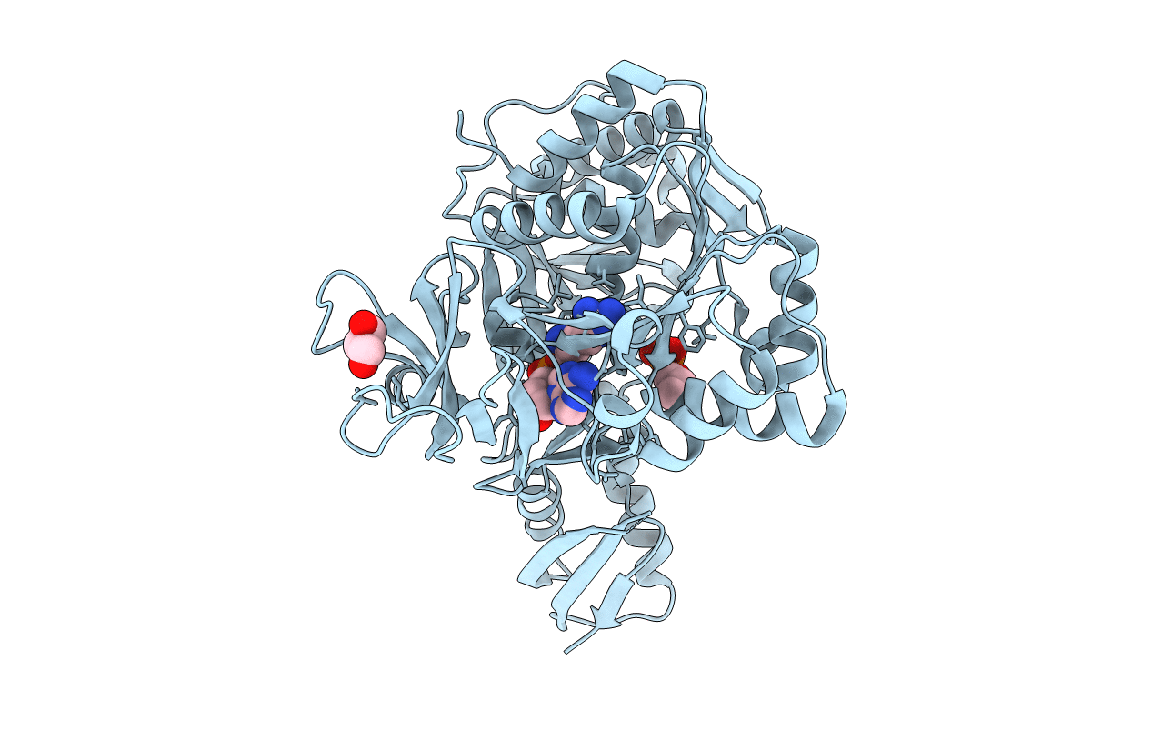 4D57 image