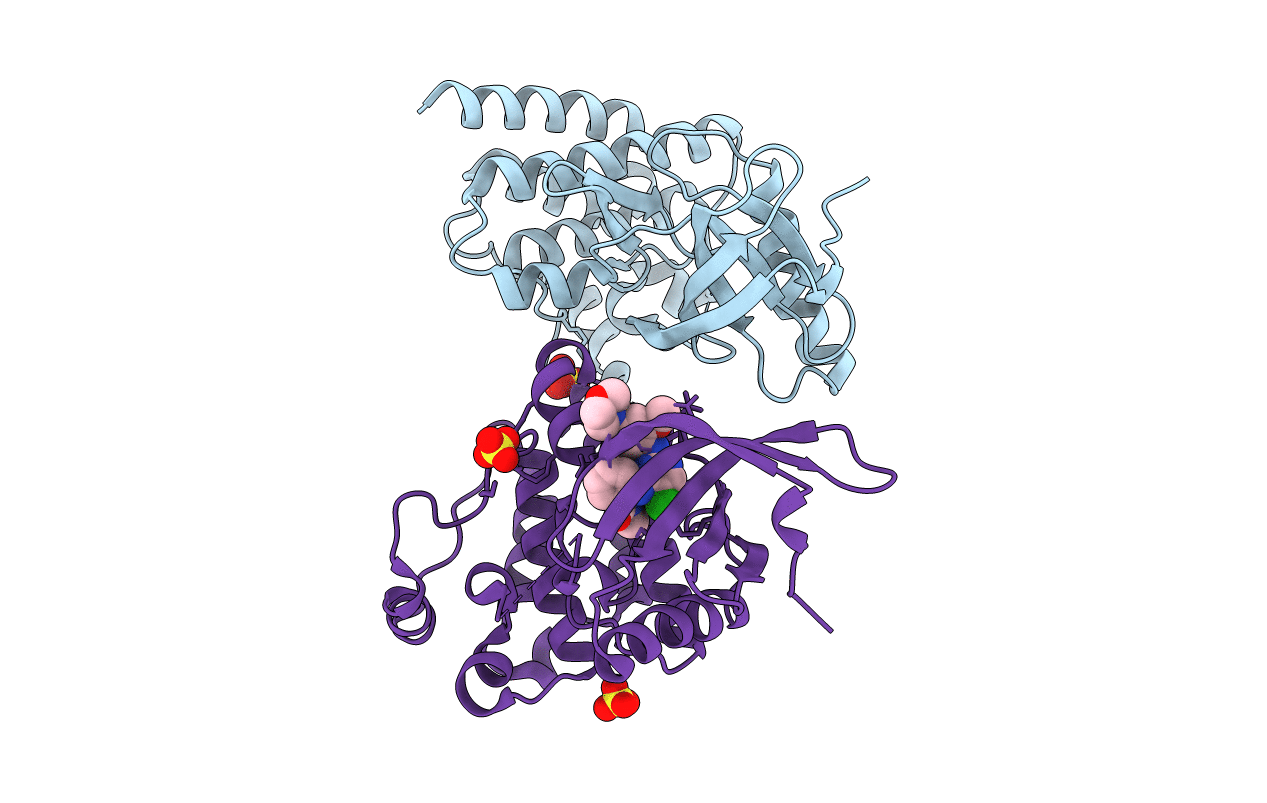 4D58 image