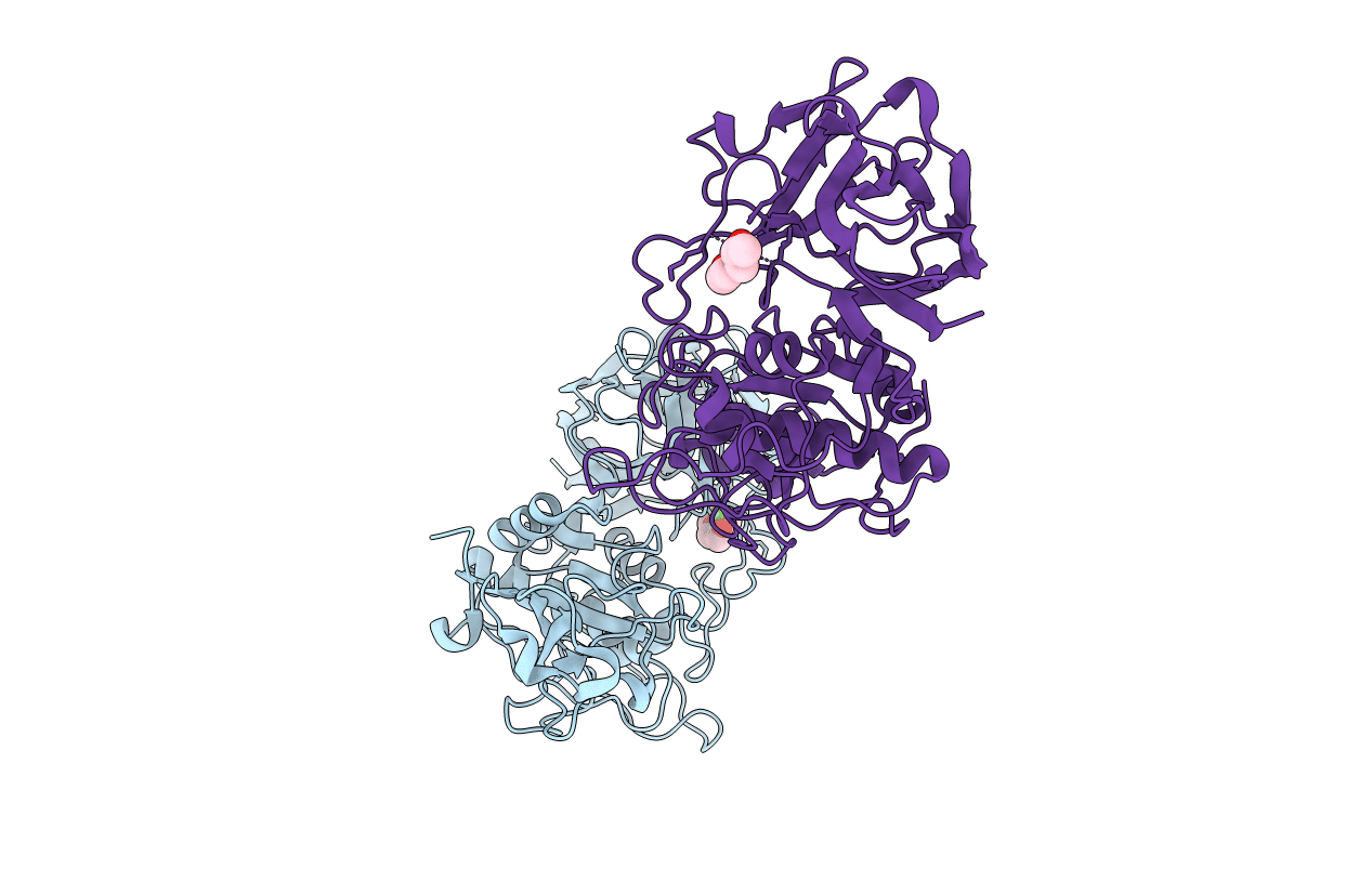 4D59 image