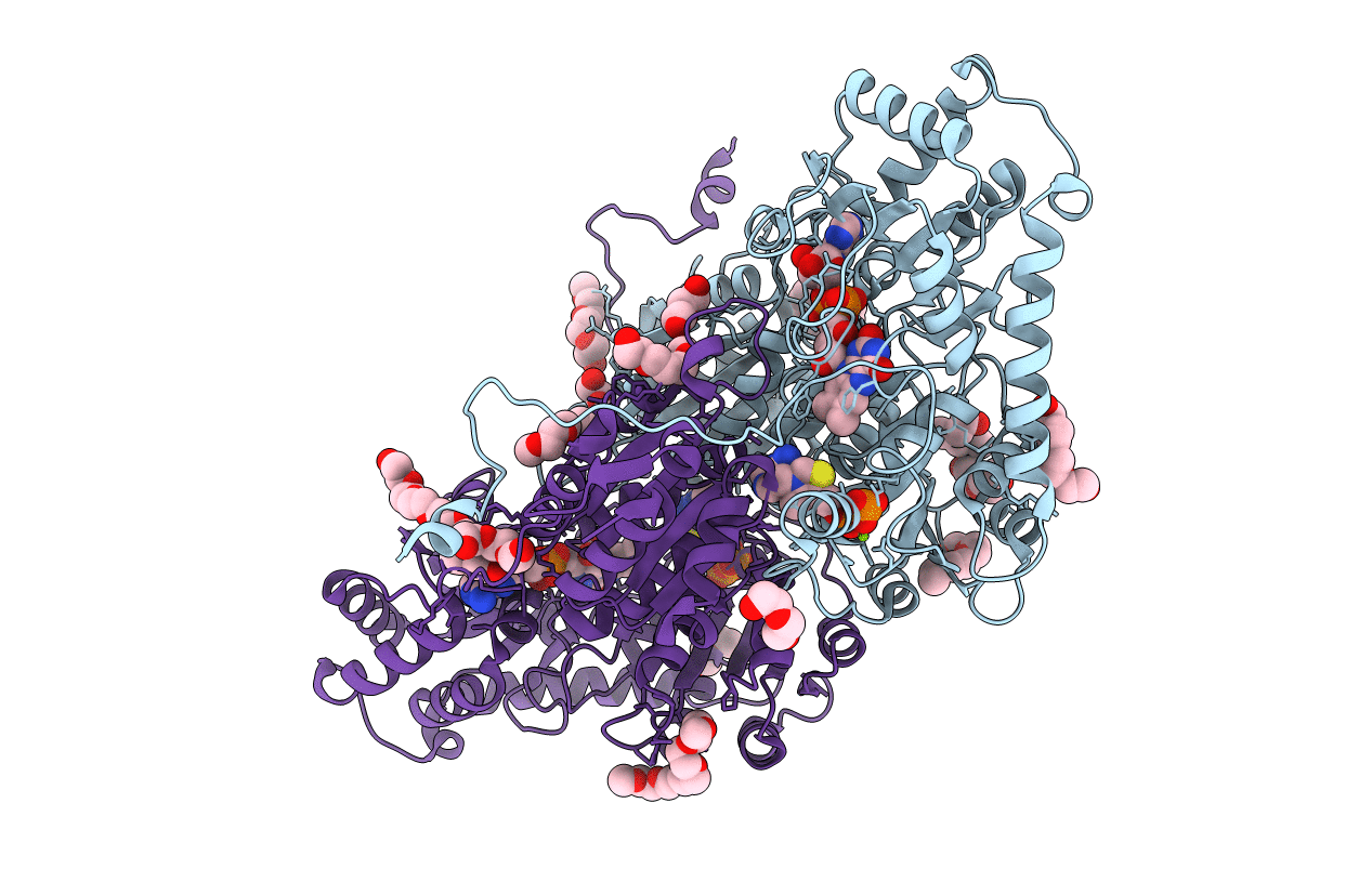 4D5G image