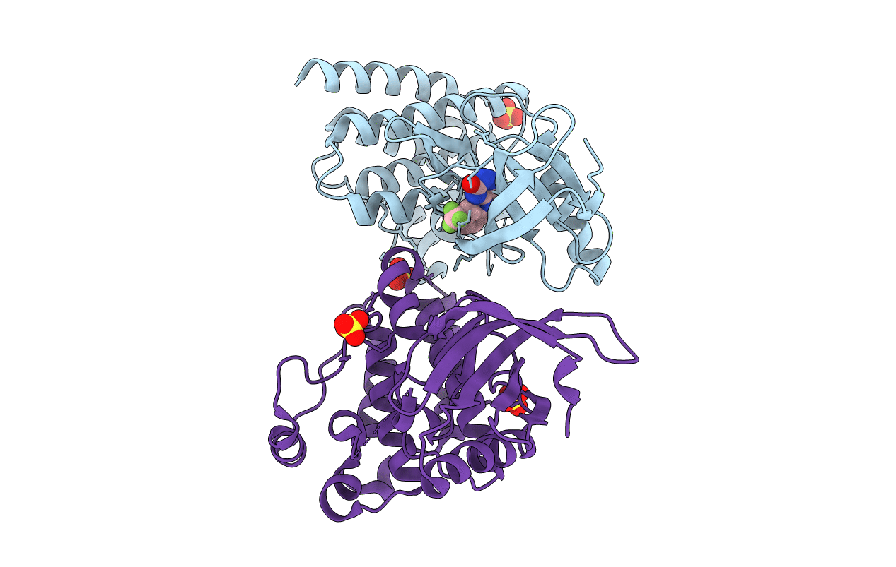 4D5H image