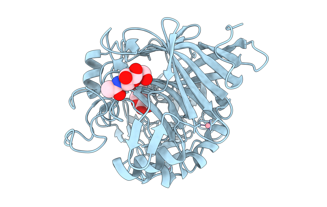4D5J image