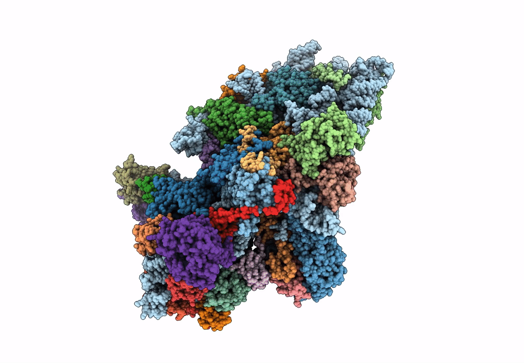 4D5L image