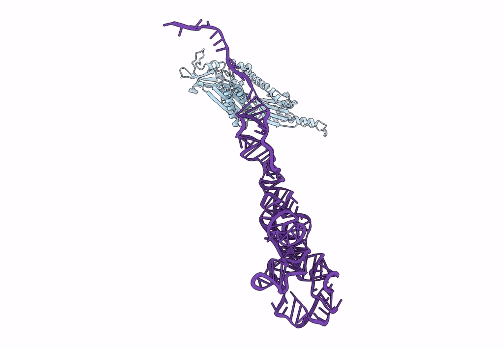 4D5N image