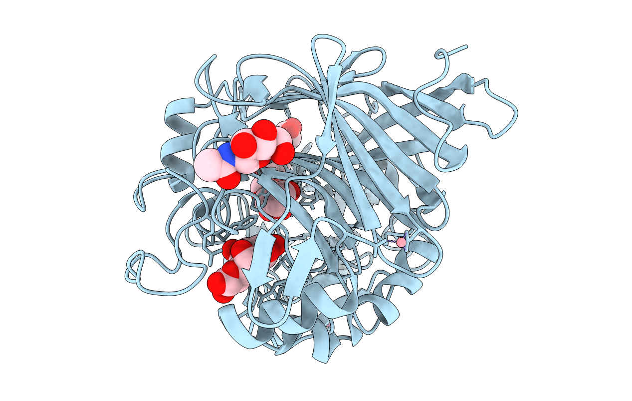 4D5O image